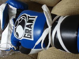 Grant Pro Fight Gloves